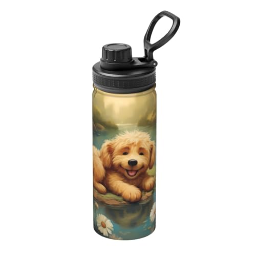 PHAYAH Isolierte Edelstahl-Wasserflasche, doppelwandig, Vakuum-Thermosflasche mit Griff, 530 ml, hält...