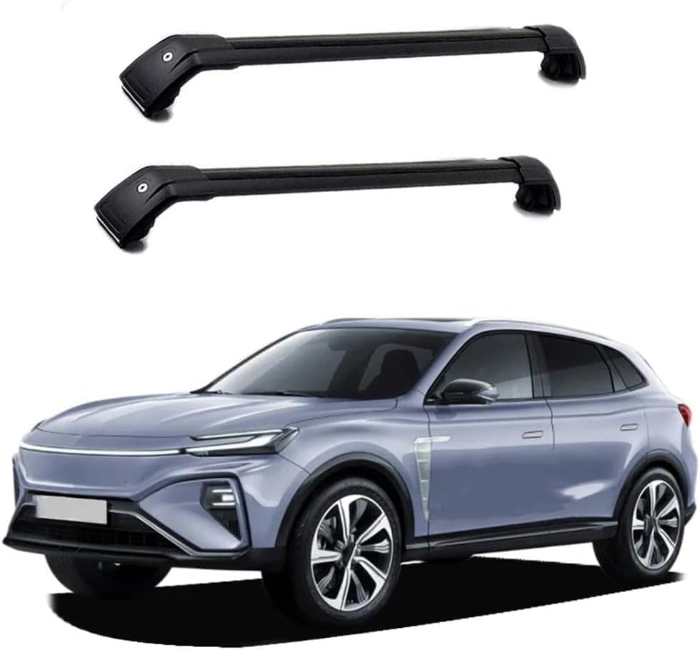 UioQrintan 2-teilige Autodachträger aus Aluminium, diebstahlsichere, abschließbare Autodachträger für...
