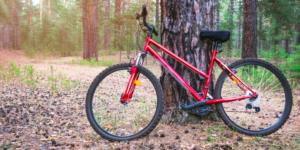 Ein rotes Moutainbike lehnt an einem Baum im Wald.