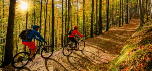 Sportliches junges Paar beim Mountainbiken auf einem Waldweg.