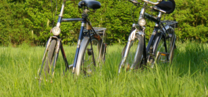 Zwei ältere Fahrräder stehen auf einer Wiese.
