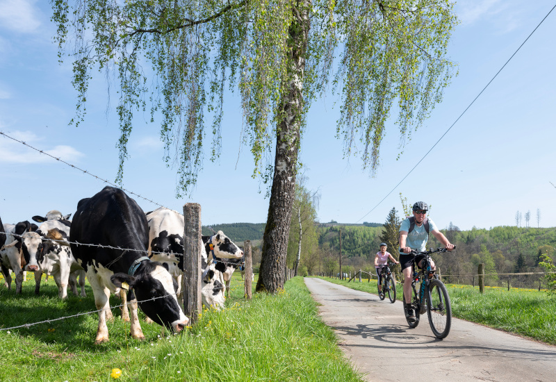 Radtour im Sauerland