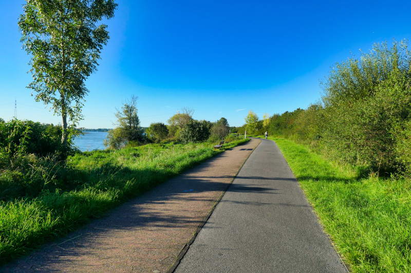 Der Rhein bei Monheim
